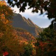 The majestic Flatirons above Boulder framed in fall colors. 