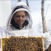 Orit Peleg with bees