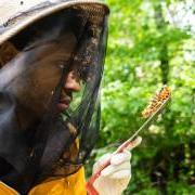 Sammy Ramsey wearing protective gear and holding honeycomb with bees on it